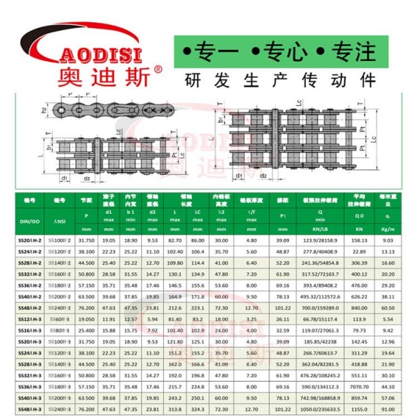 13.AODISI带链板滚子链