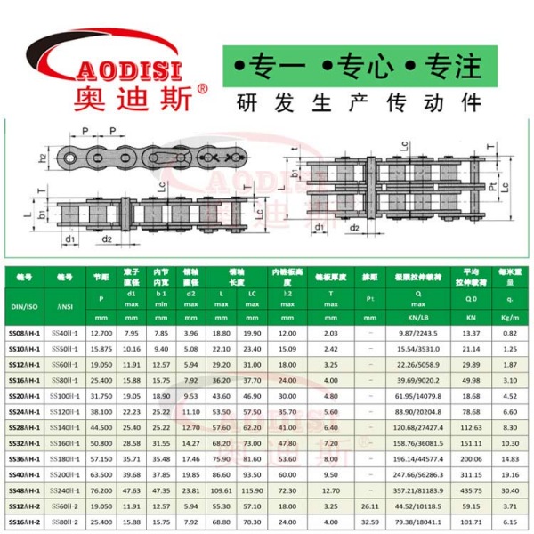 13.AODISI带链板滚子链
